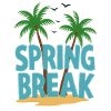 Spring Break Palm Trees Beach