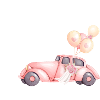 Bridesmaid - Car Wedding