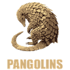 Pangolins Pangolin Pangolin