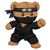 Teddy Bear Ninja