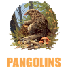 Pangolins Pangolin Pangolin