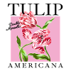 Baroque tulips duo on pink