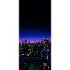 CYBERPUNK SWS