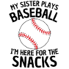 Funny Baseball Sister Design