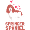 Springer Spaniel Dog