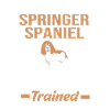 Springer Spaniel
