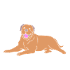 Bullmastiff Dog