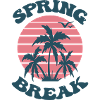 Spring Break palm tree
