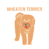 Wheaten Terrier