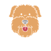 Wheaten Terrier