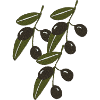 Olive Branches Impressionism