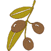 Olive branch brown