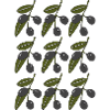 Olive branch pattern