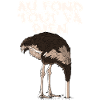 Autruche