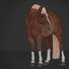 Red roan horse
