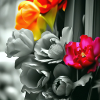 Blumen