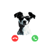 Dog Is Calling: Must Go