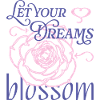 Blossom Your Dreams