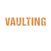 Vaulter A Day Without Vaulting