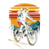 Raccoon rides mountain bike