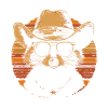 Waschbär mit Sonnenbrille und Cowboy Hut