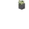 Plant Lover Gardening Pocket