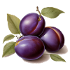 Plums