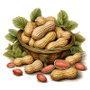 Peanuts