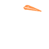 stork