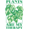 Plant Lover Gardening Monstera