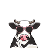 Vache entièrement mutilée