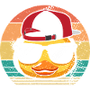 Ducks