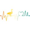 Ducks