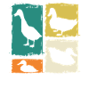 Ducks