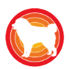 Pyrenean Dog