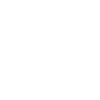 Katze Evolution