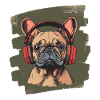 Frenchie French Bulldog
