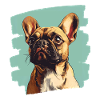 Frenchie French Bulldog