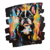 Frenchie French Bulldog