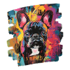 Bouledogue français Frenchie