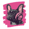Bouledogue français Frenchie