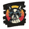 Bouledogue français Frenchie