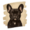 Frenchie French Bulldog