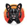 Frenchie French Bulldog