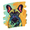 Bouledogue français Frenchie