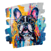Bouledogue français Frenchie