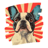 Bouledogue français Frenchie