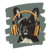 Frenchie French Bulldog