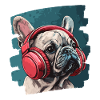Frenchie French Bulldog