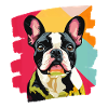 Frenchie French Bulldog